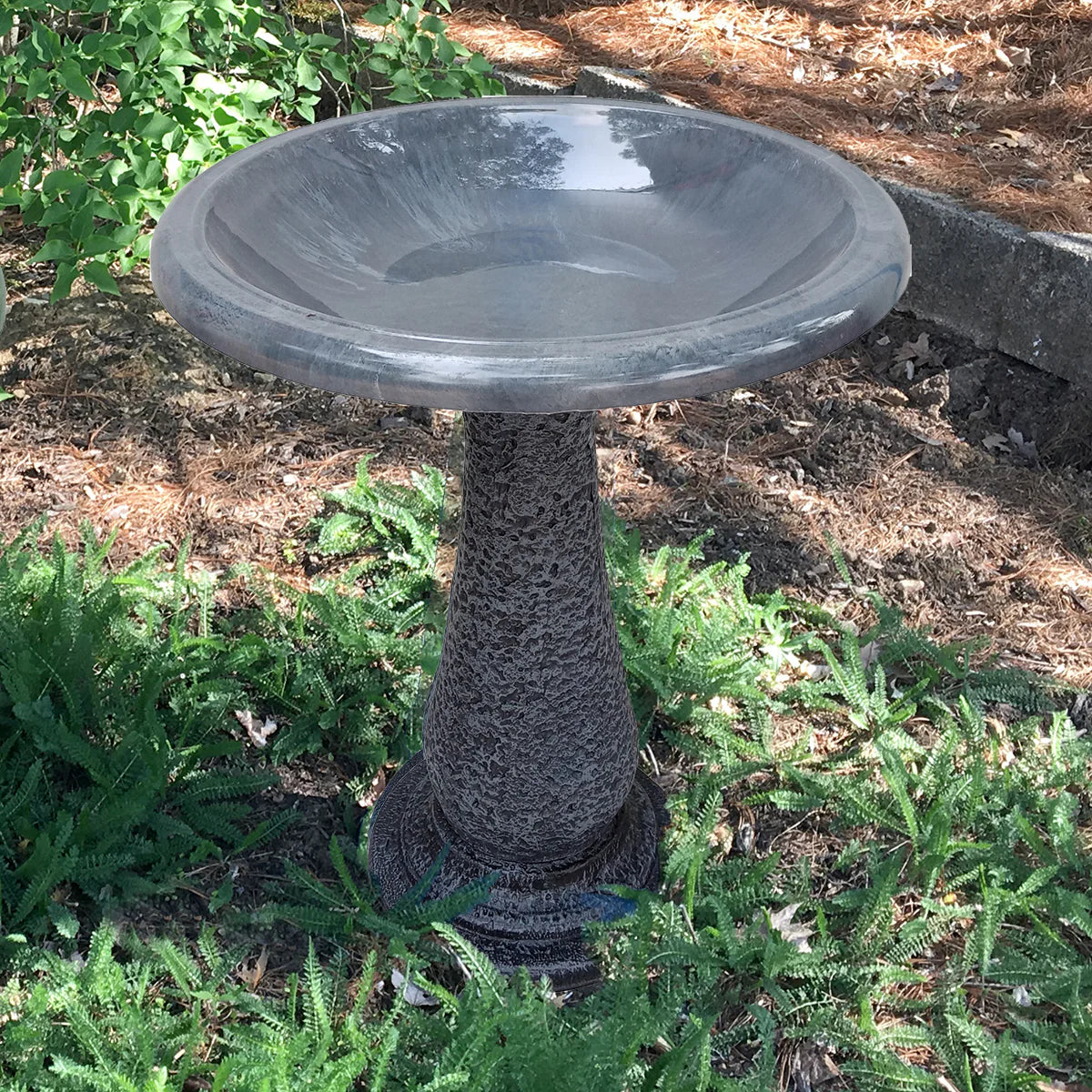 How beneficial are bird baths? - Garden Your Way 