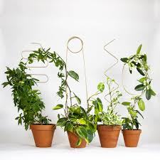What are the best products to support droopy or unstable plants?