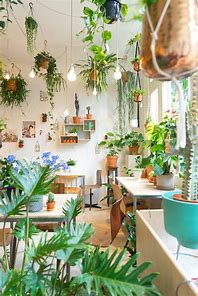 What are the steps for keeping your indoor plants thriving?