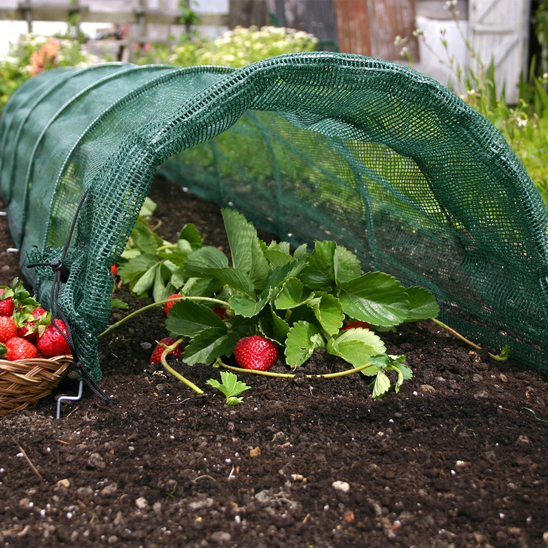 Plant Protection - Garden Your Way