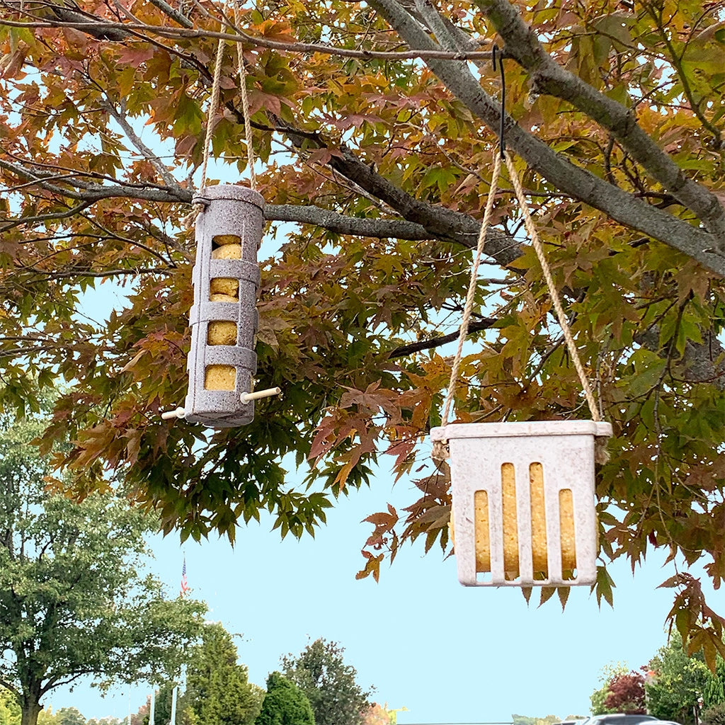 Feeders & Homes for Birds, Bees, and Butterflies | Garden Your Way ...