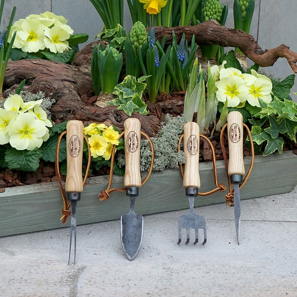 Sturdy DeWit bonsai tools displayed in front of a bonsai garden.