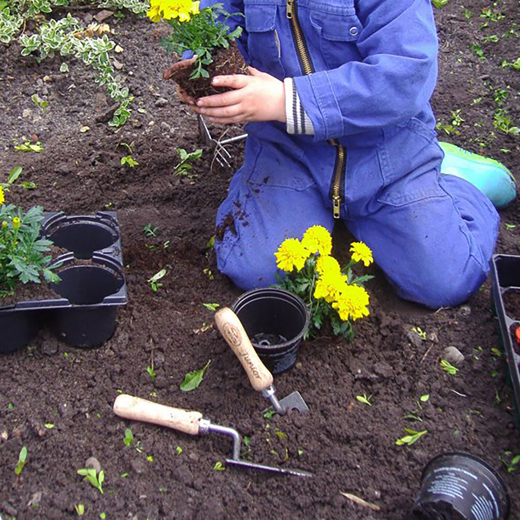 A teen kneels in a garden planting yellow flowers using a DeWit trowel and spade.