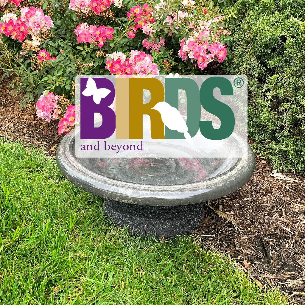 Birds and Beyond - Garden Your Way 