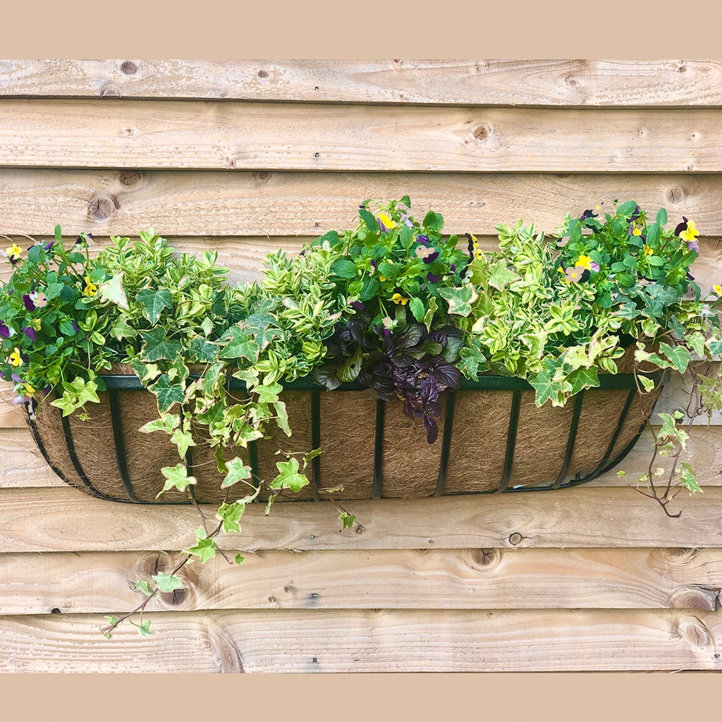 Wire wall trough planter with coco liner full of greenery.