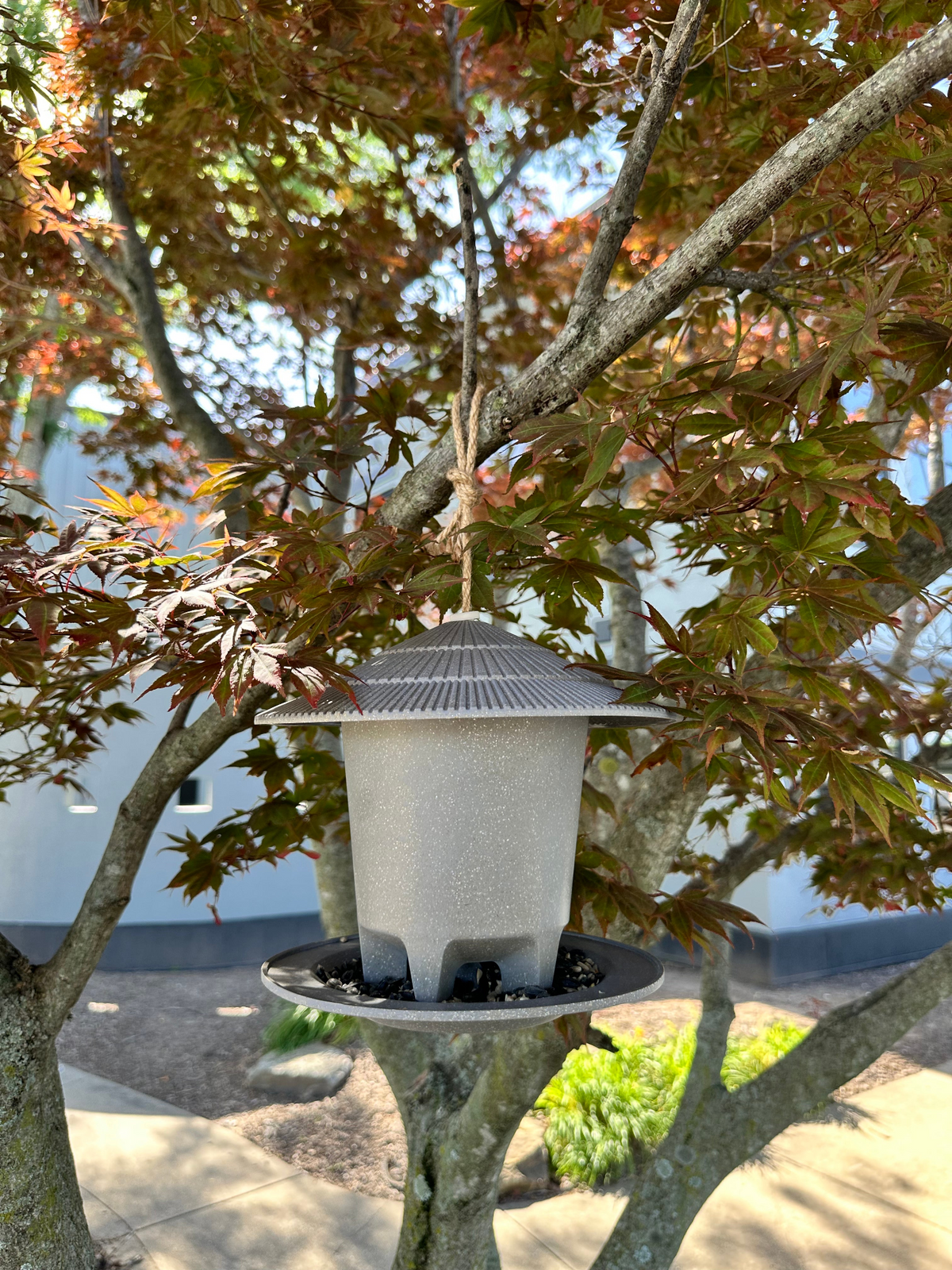 Deluxe round bird feeder made of straw hanging from a tree.