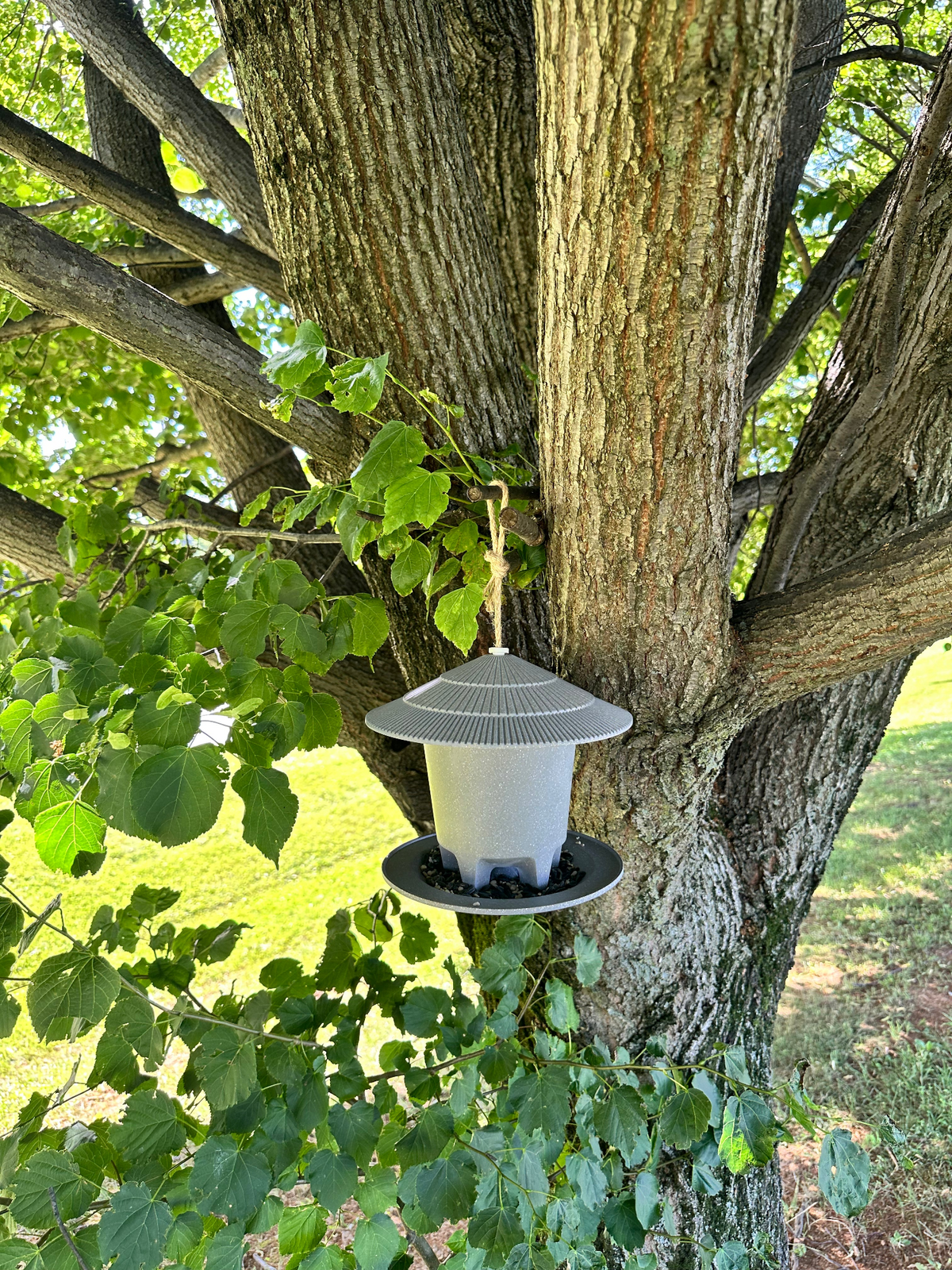 Deluxe Round Bird Feeder made of straw hanging on a tree.