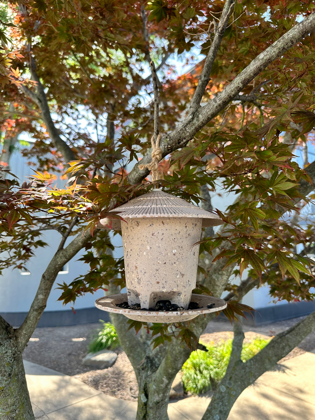 Deluxe Round Bird Feeder made from coffee husks, hanging in a tree.
