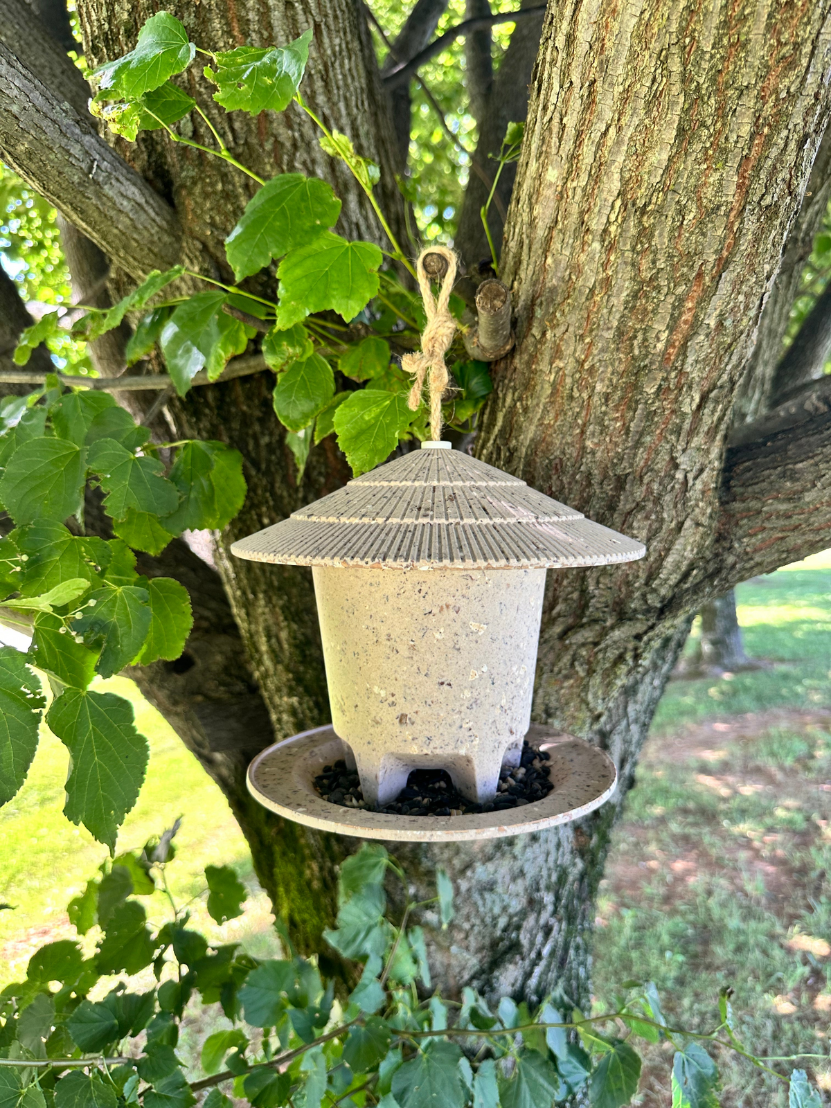 Deluxe Round Bird Feeder made from coffee husks hanging on a tree.