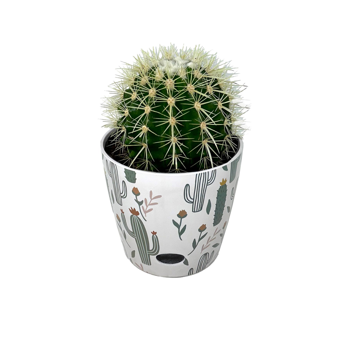 7&quot; Cactus Round Bamboo Self-Watering Plant Pot with Eco-Friendly Design