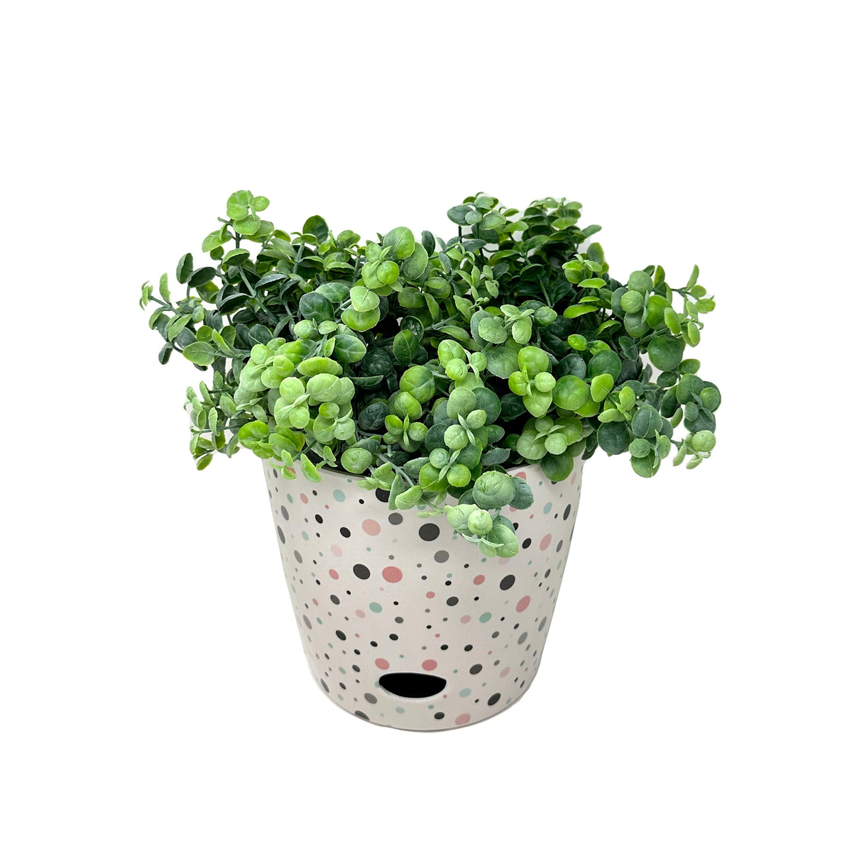 7&quot; dots round bamboo self-watering plant pot with greenery, indoor/outdoor use, eco-friendly, biodegradable.