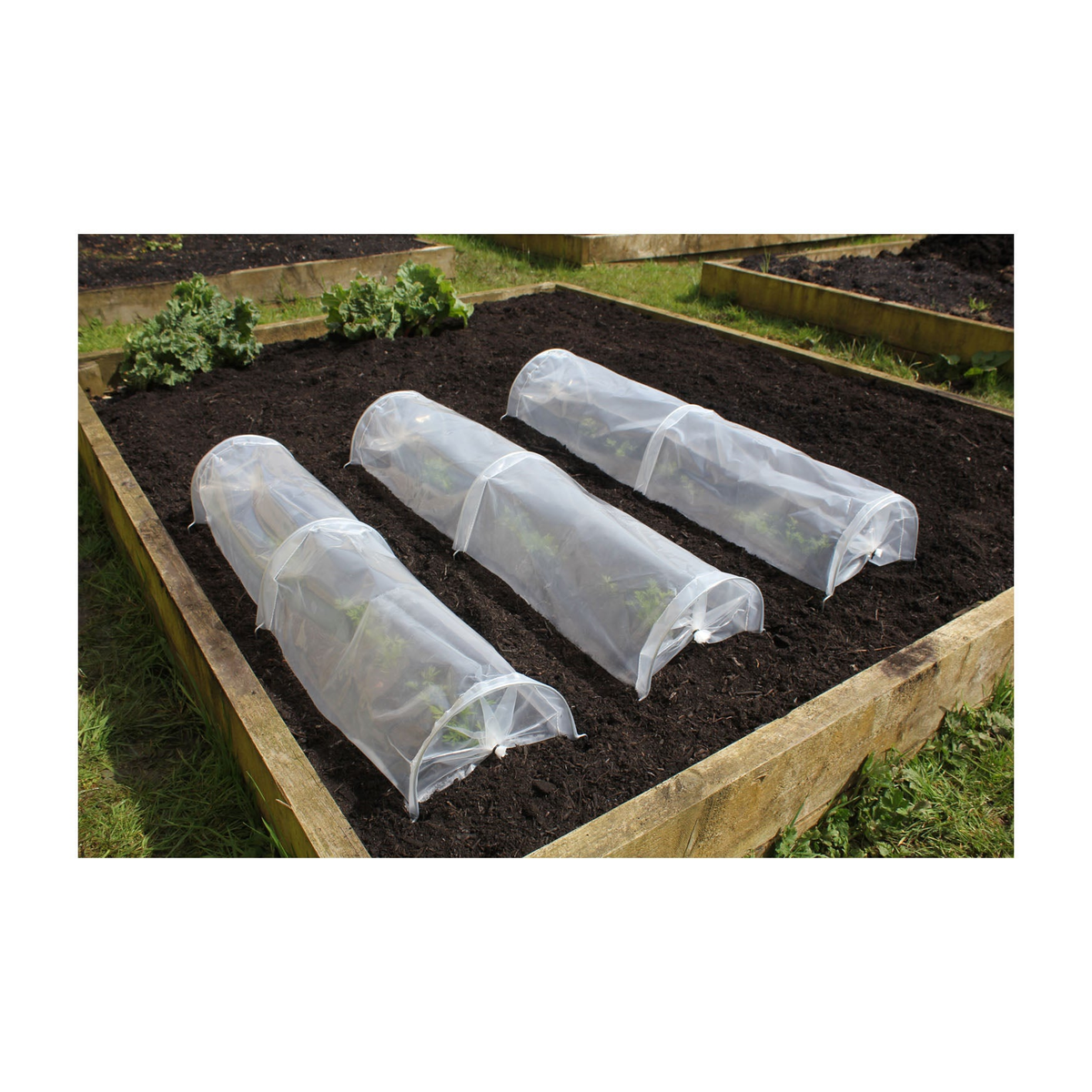 UV-stabilized seedling tunnels protecting plants in a garden bed.