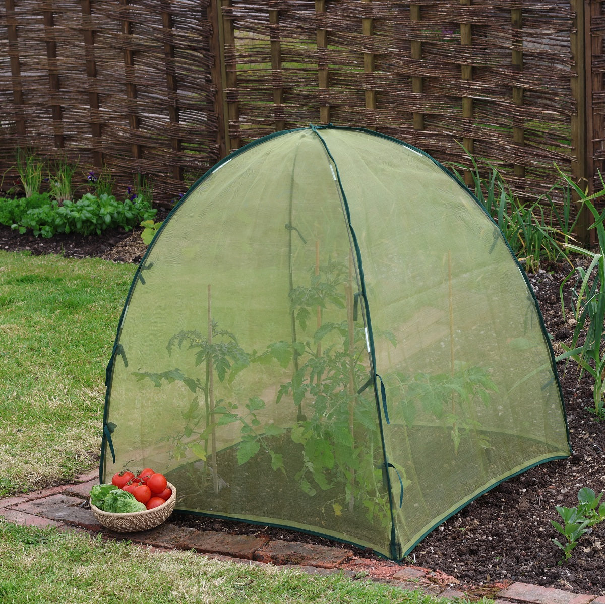 Giant Easy Micromesh Dome Plant Protection Cloche in garden, 36"L x 36"W x 37"H, UV-stabilized fine mesh with ground pegs for insect and frost protection.