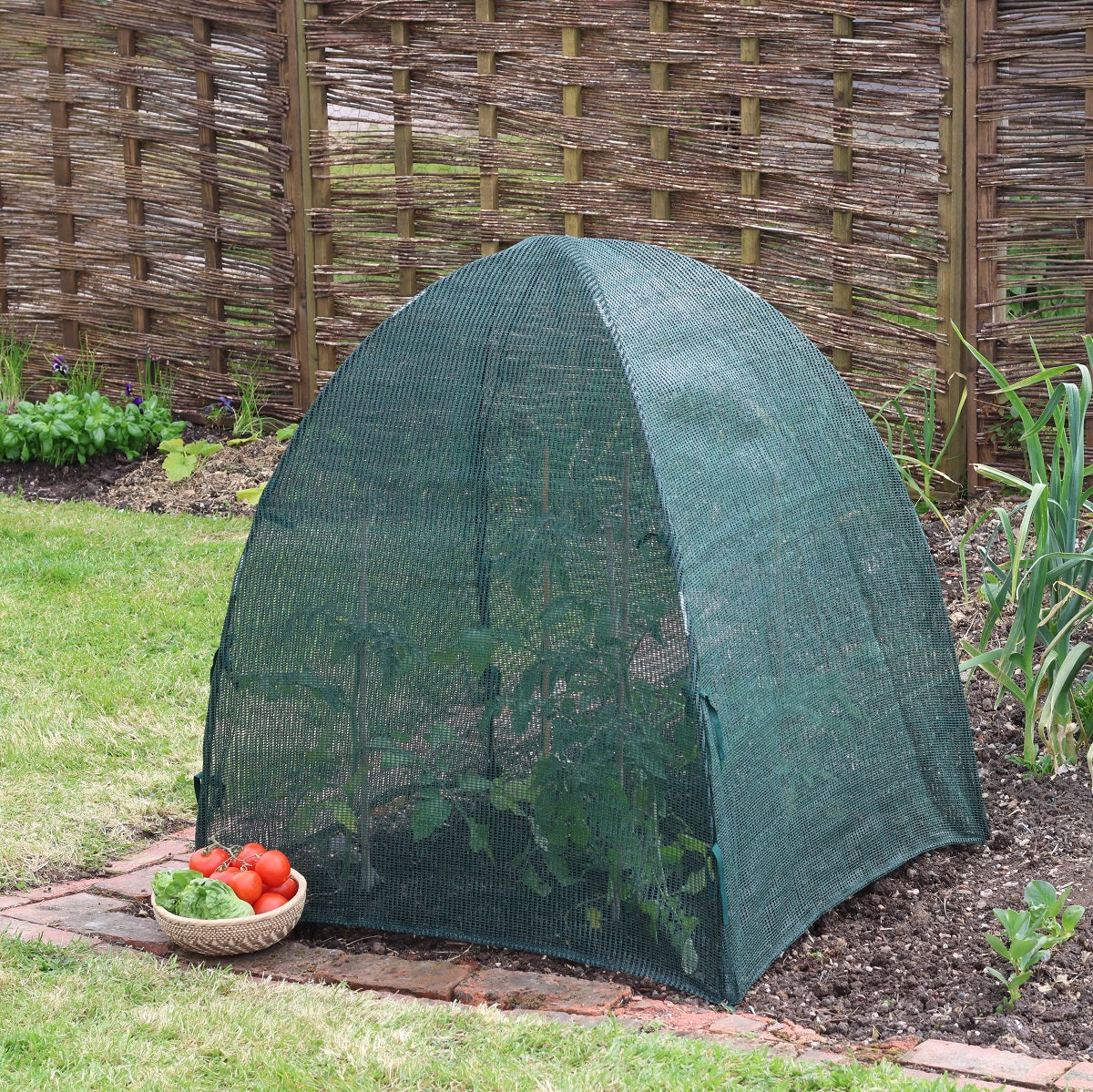 Giant Easy Net Dome Plant Protection Cloche providing shade and insect protection in a garden setting.