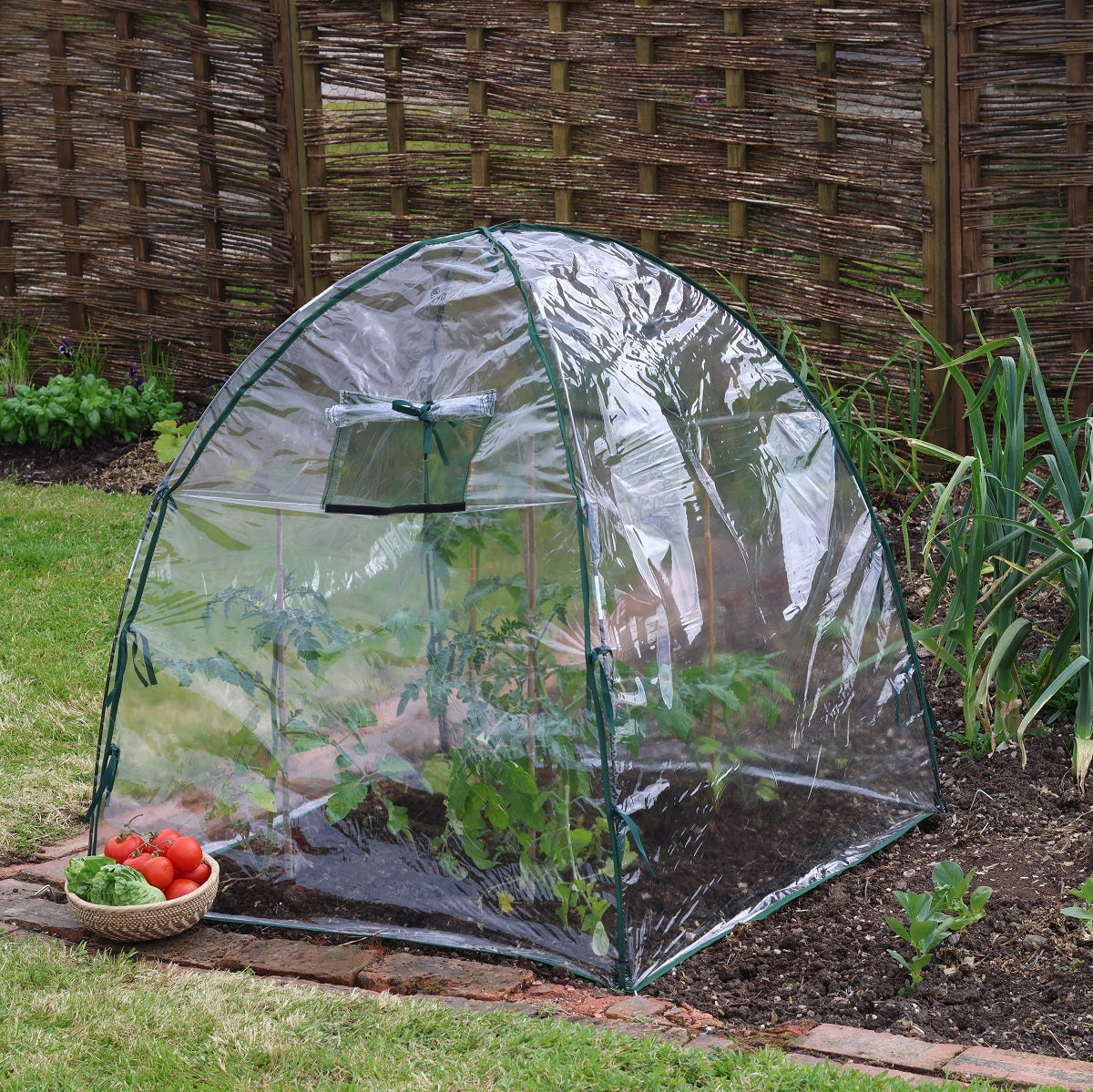 Giant Easy Poly Dome Plant Protection Cloche in garden setting, 36" dimensions.