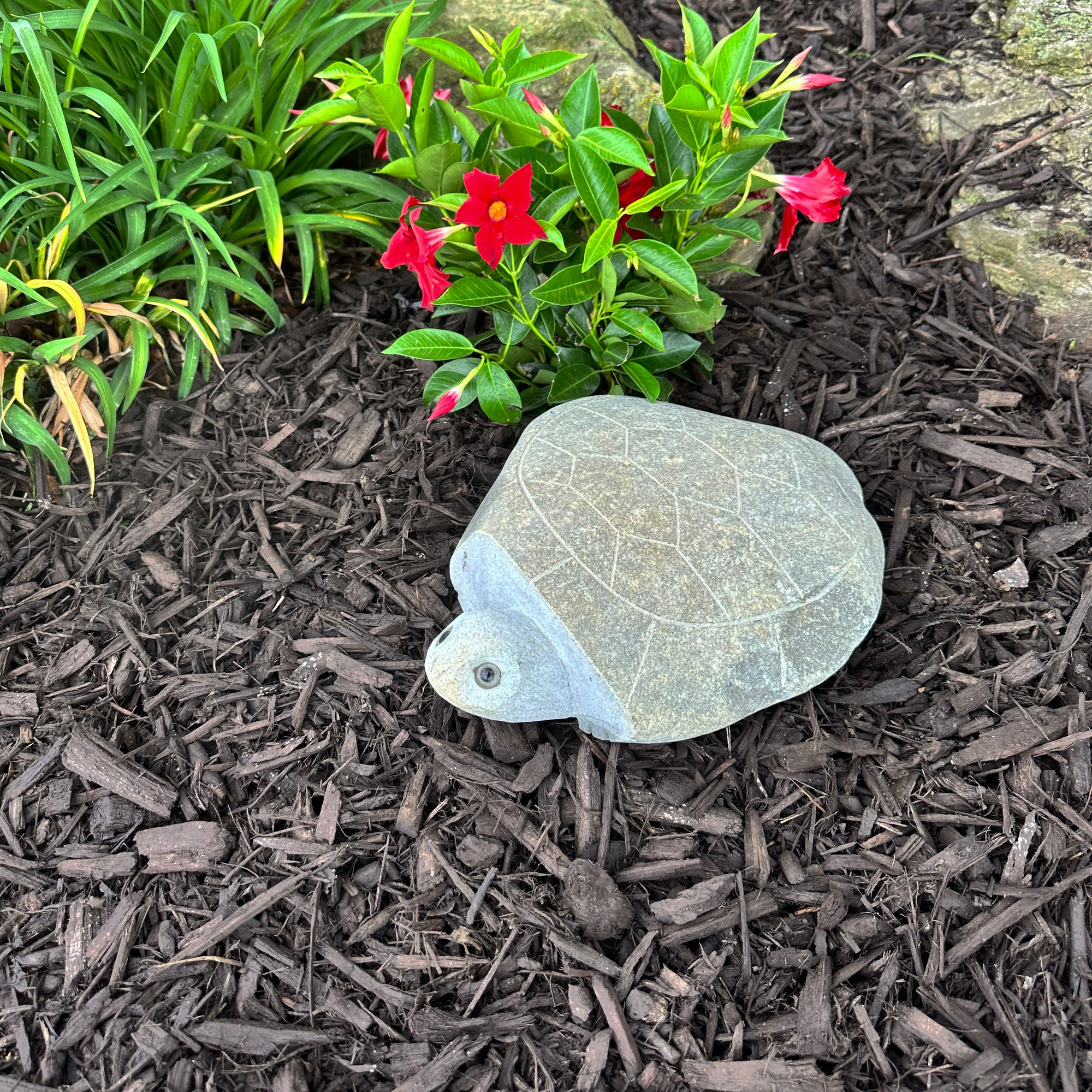 Hand carved natural granite boulder stone turtle in garden setting.