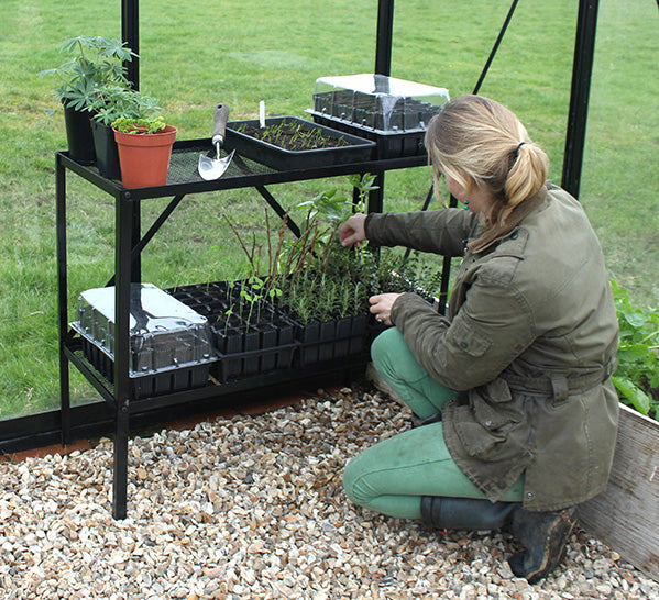 Haxnicks Rootrainer Racking Station with Deep Rootrainers and plants in a greenhouse setup.