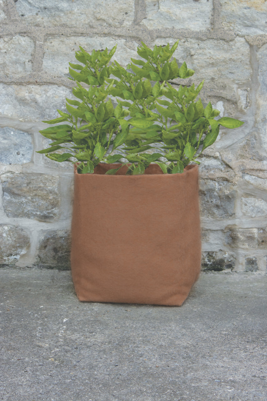 20L hemp fibre planter with plant, compostable, biodegradable, natural durability, 12x12 inches, 5.3 gallons capacity.