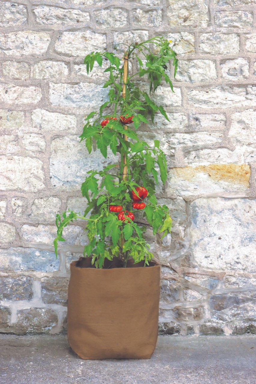 30L Hemp Fibre Planter with tomato plant against stone wall, biodegradable and breathable.