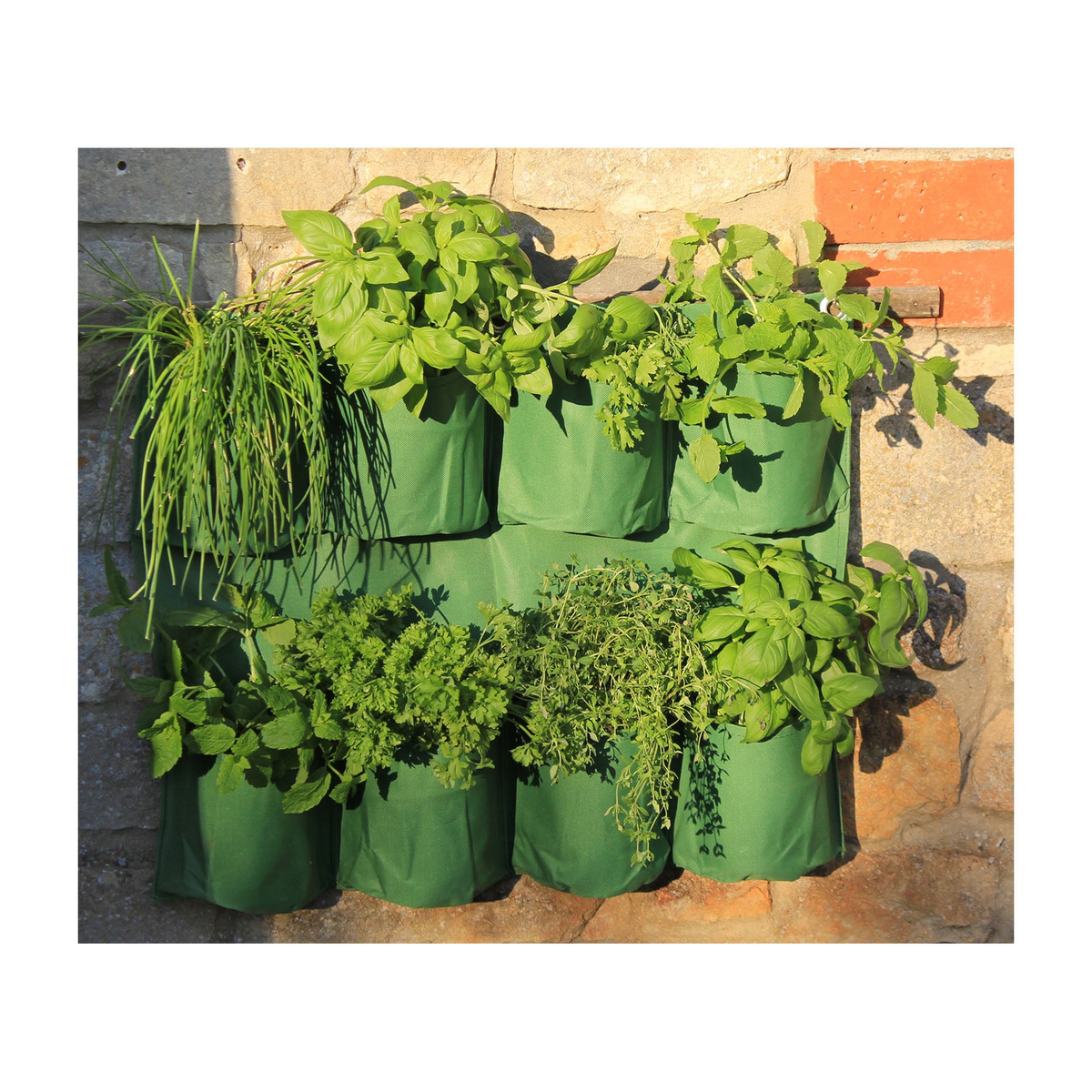 Herb wall planter with eight green planting pockets, hanging on a stone wall.