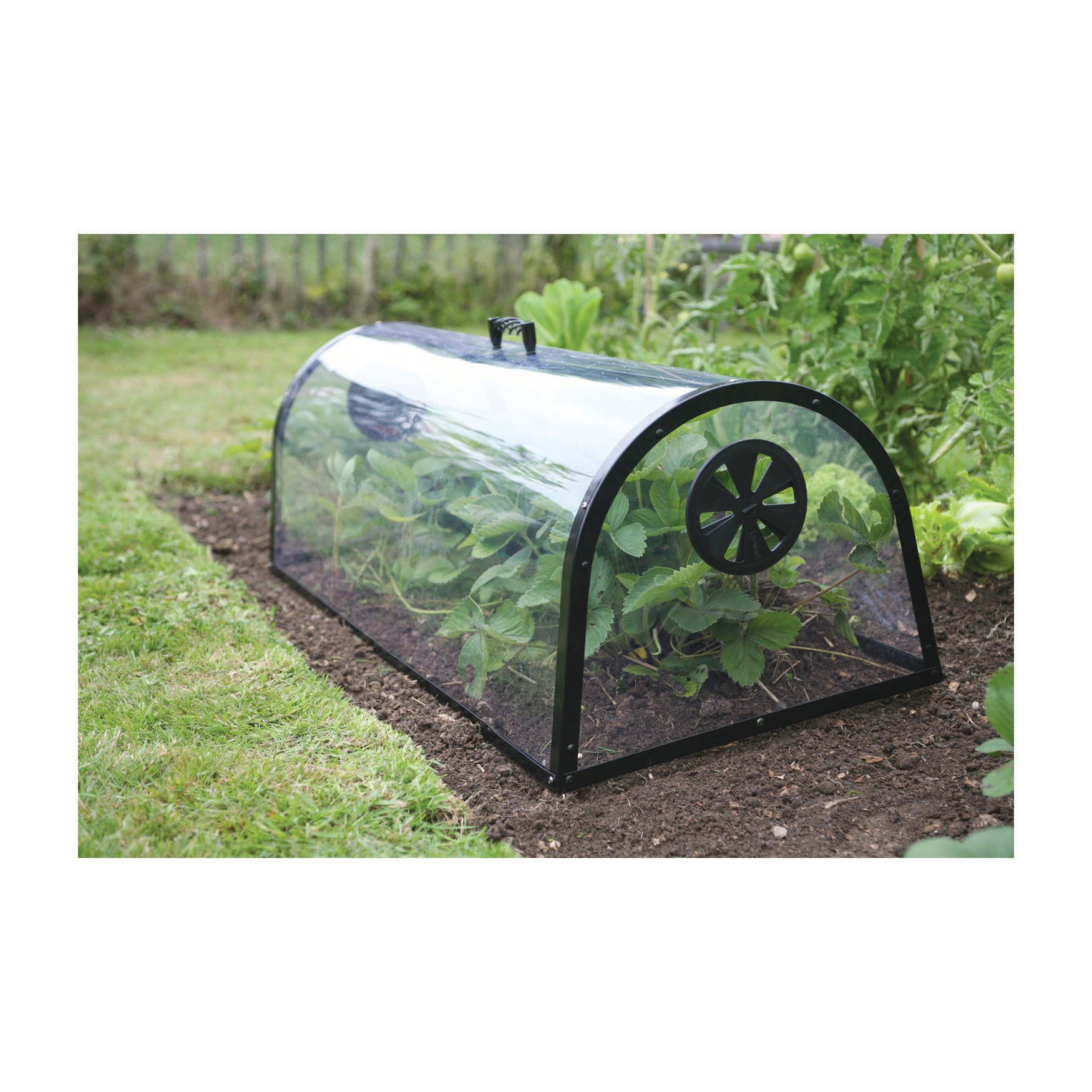 Stylish kitchen garden cloche with adjustable air vents for plant protection.