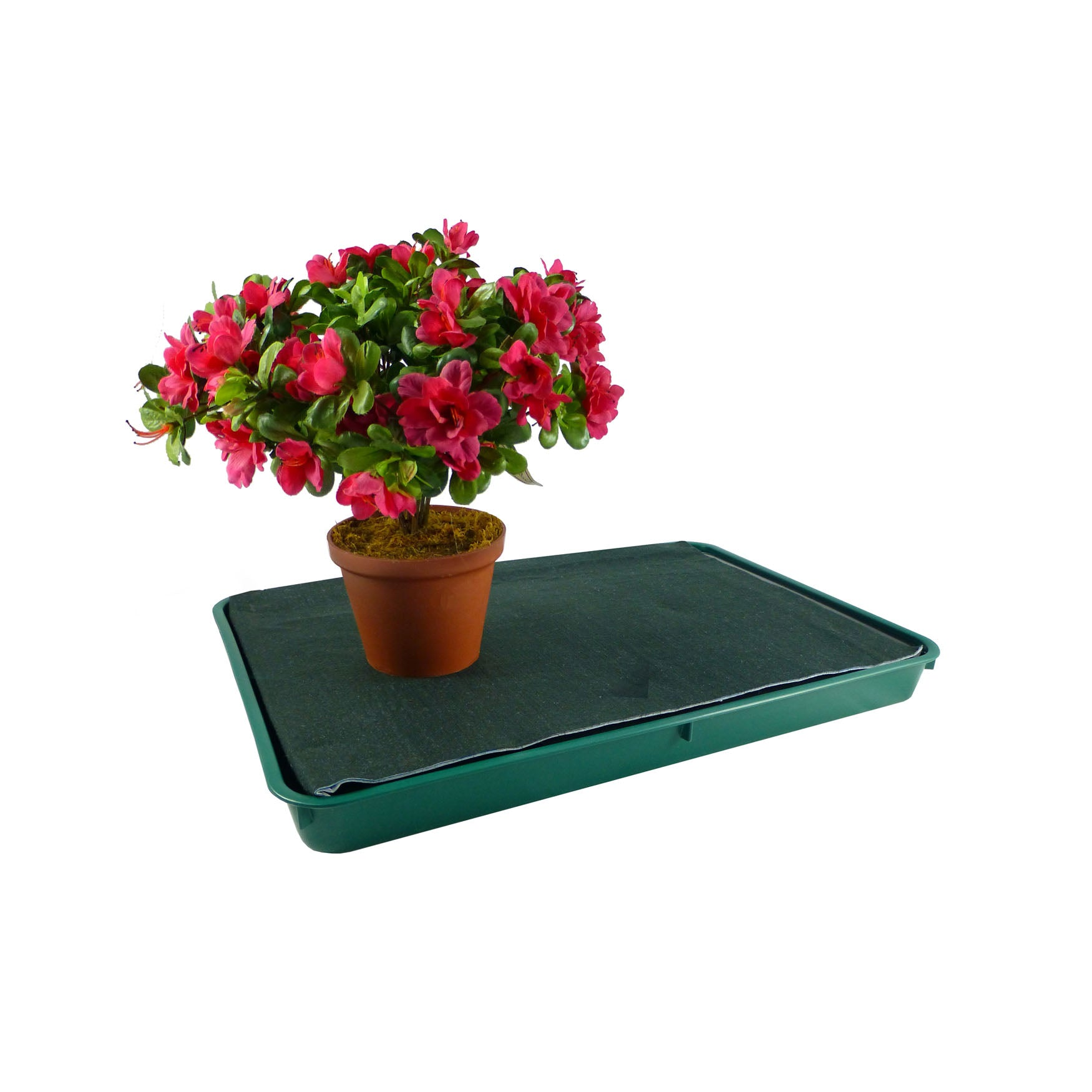 Large green self-watering tray with 2.1-gallon reservoir for capillary irrigation, ideal for greenhouses and compatible with terra cotta pots.