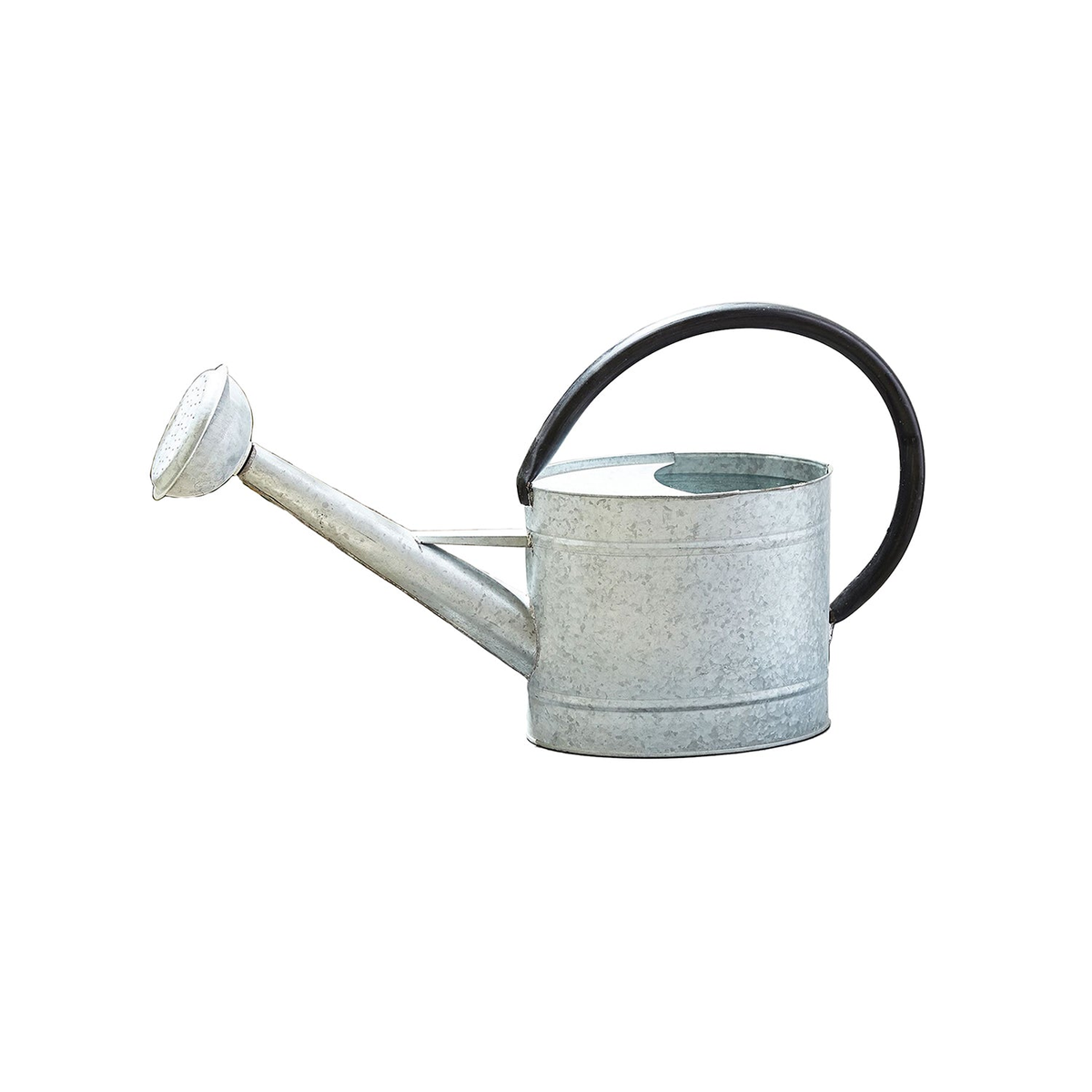 Aged zinc watering can, 0.7 gallon, oval-shaped, powder-coated galvanized steel, screw-on rosehead, 17&quot;W x 5&quot;D x 10&quot;H.