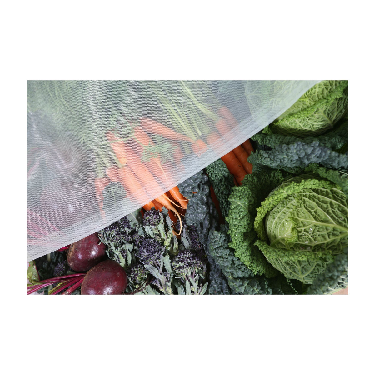 16&#39; x 16&#39; pre-cut micromesh blanket covering vegetables, organic pest protection.