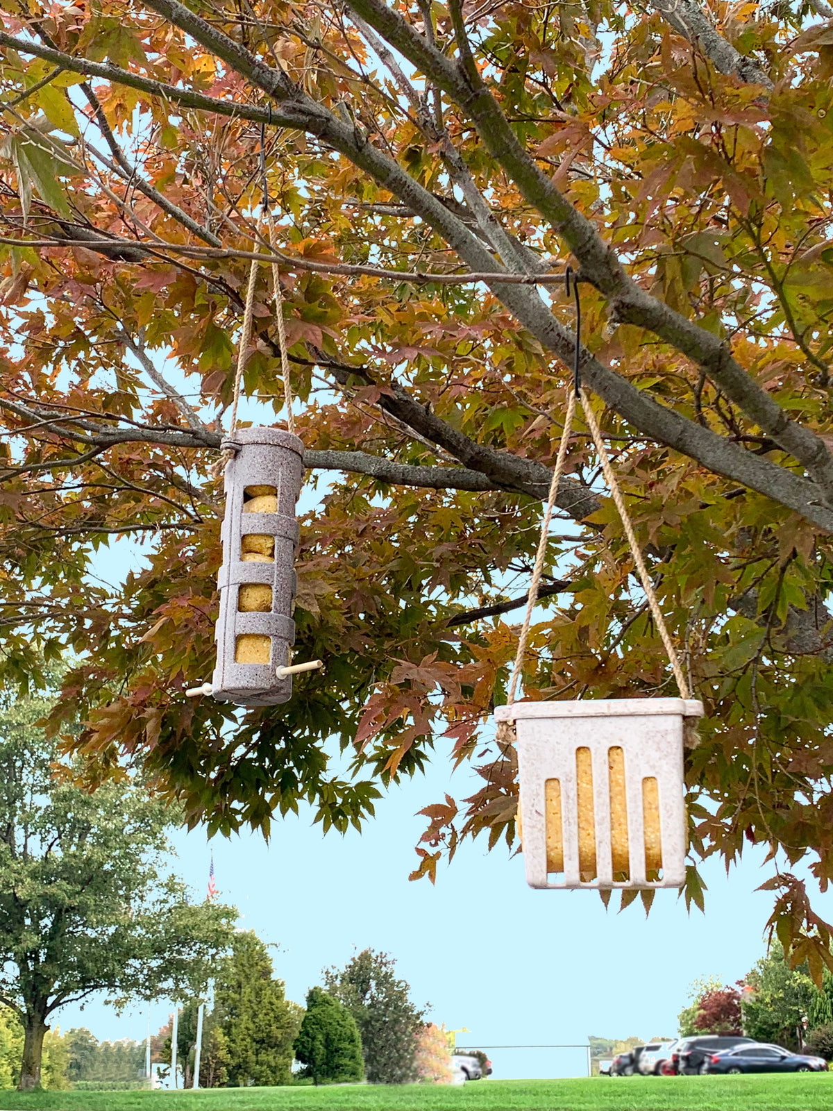 Eco-friendly suet ball feeder made from coffee husks hanging outdoors.