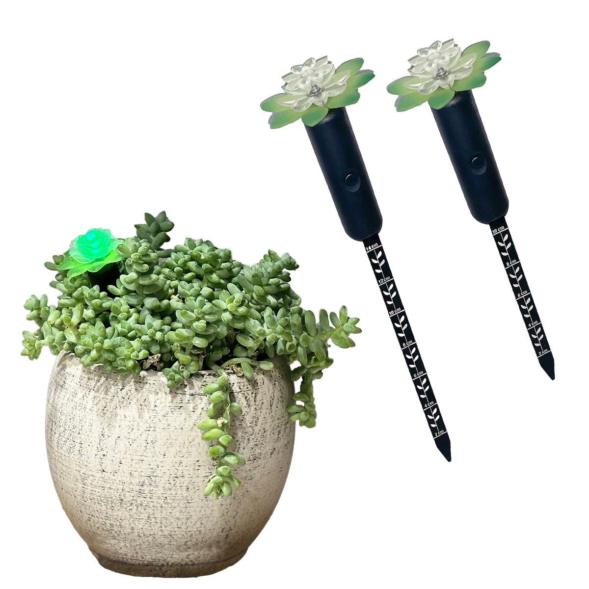 Plant Alarm Kit with red/green moisture indicator, 8&quot; &amp; 10.5&quot; length, keeps indoor plants watered, charming flower design.