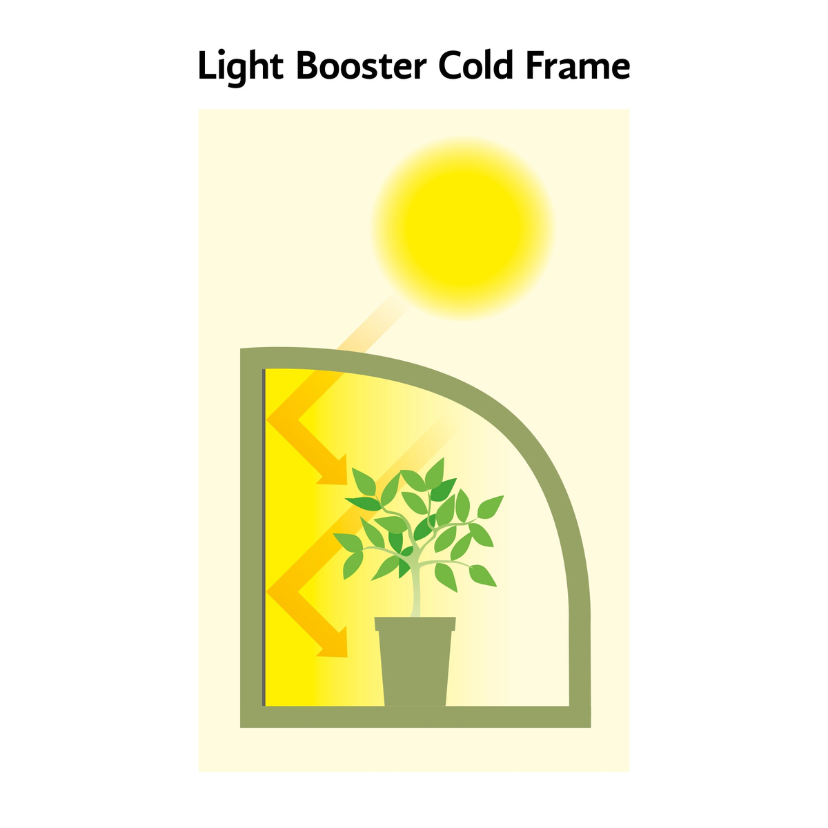 Light-Booster Coldframe illustration showing light reflection for plant growth.