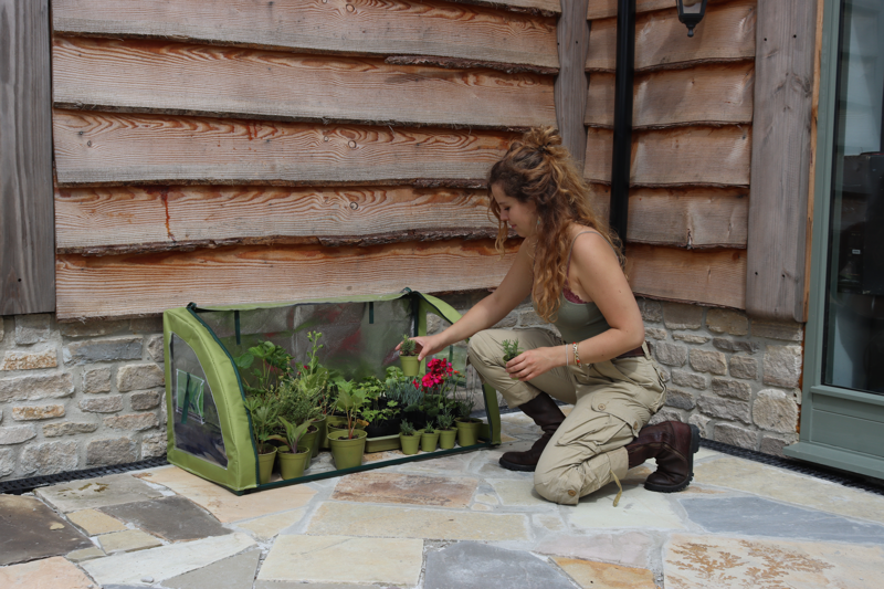 Light-Booster Coldframe for potted plants and seedlings with reflective backing, featuring roll-up access and micromesh vents.