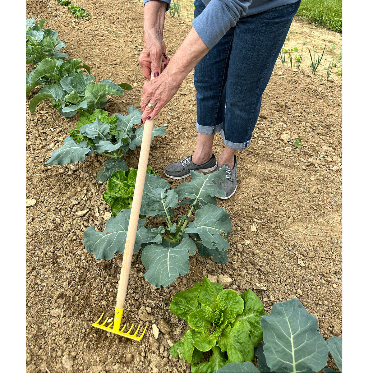 Kid&#39;s Soil Rake - Garden Your Way 