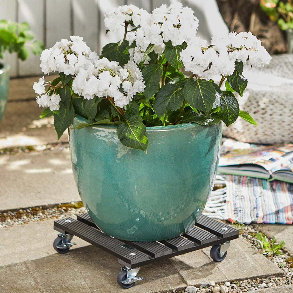 11.4&quot; gray square WPC plant caddy with brakes, outdoor scene, holding a large green planter with white flowers.