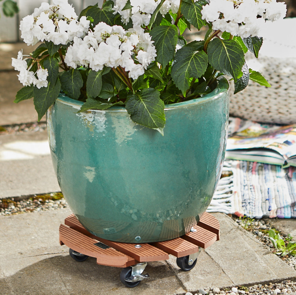 11.4&quot; terra cotta round WPC plant caddy with brakes, holding a large potted plant outdoors.