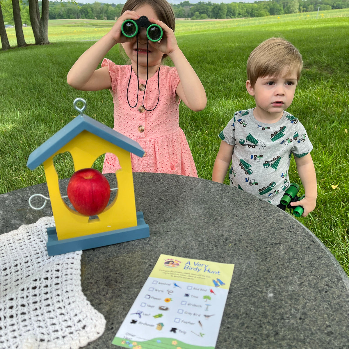 Little Pals Kids Bird Feeding &amp; Observation Activity Kit - Garden Your Way 