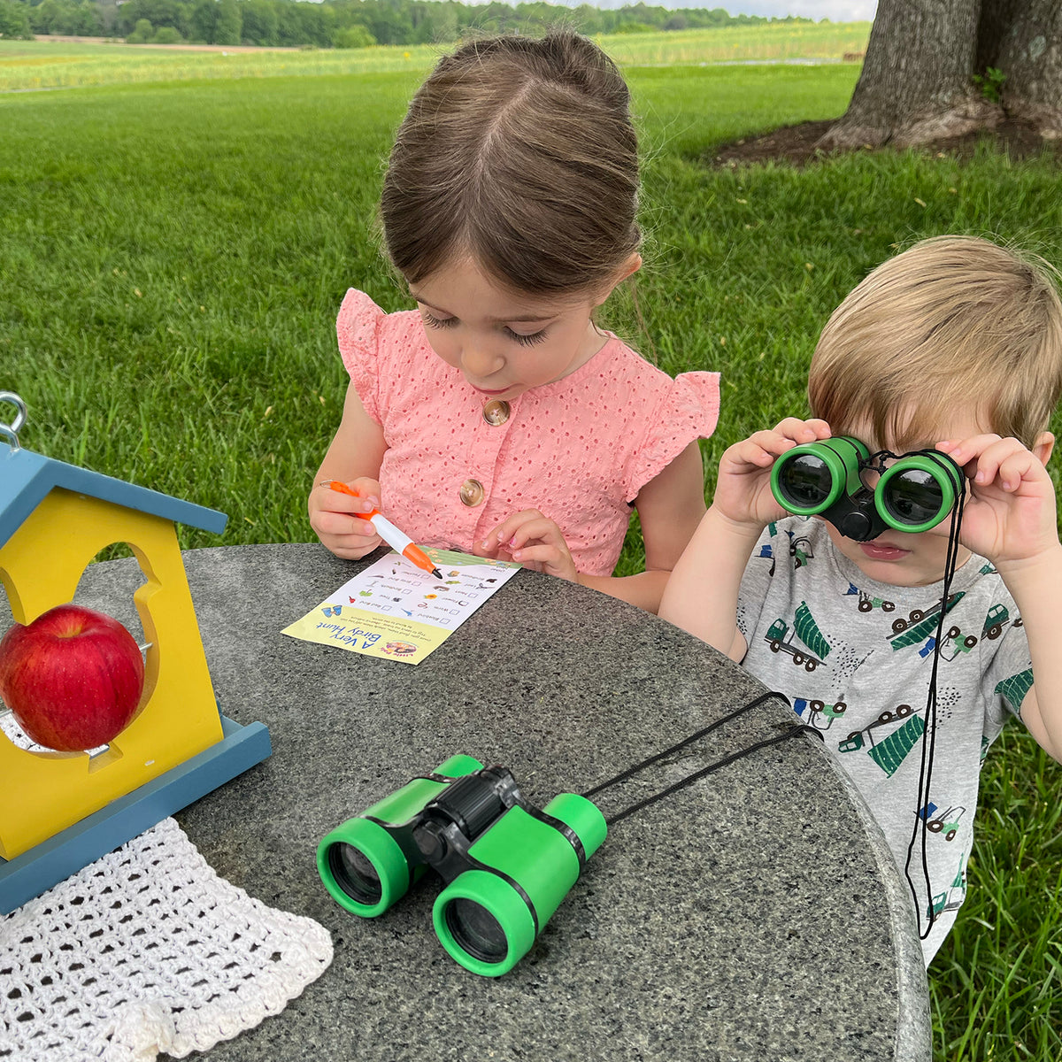 Little Pals Kids Bird Feeding &amp; Observation Activity Kit - Garden Your Way 