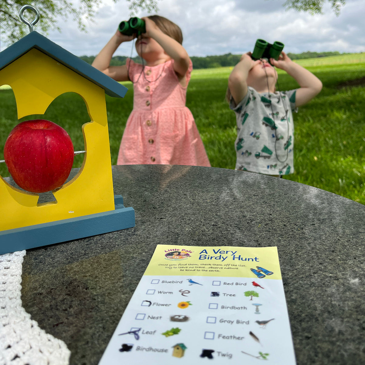 Little Pals Kids Bird Feeding &amp; Observation Activity Kit - Garden Your Way 