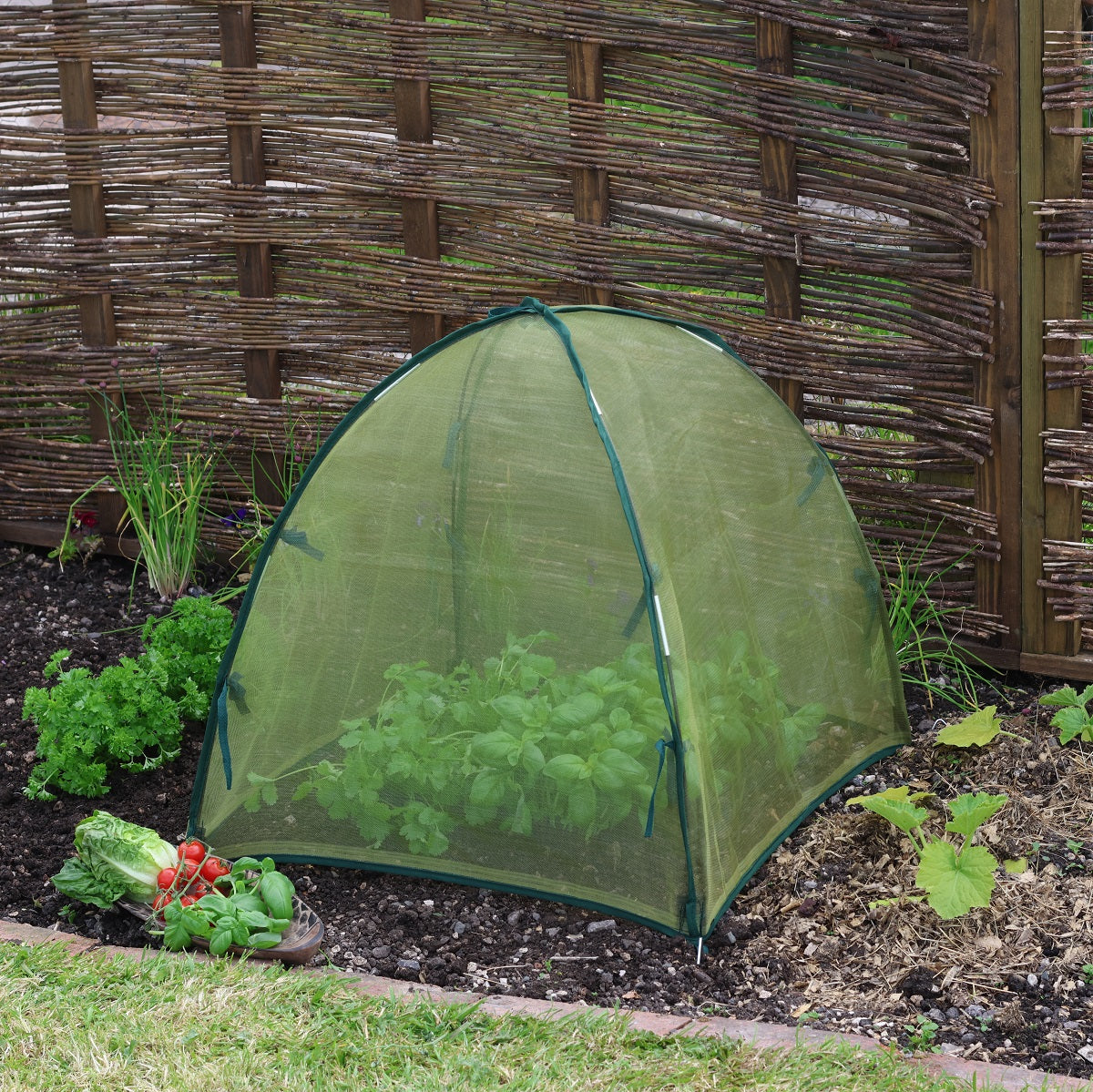 Micromesh dome cloche protecting plants, allows air and water flow, 22 inches.