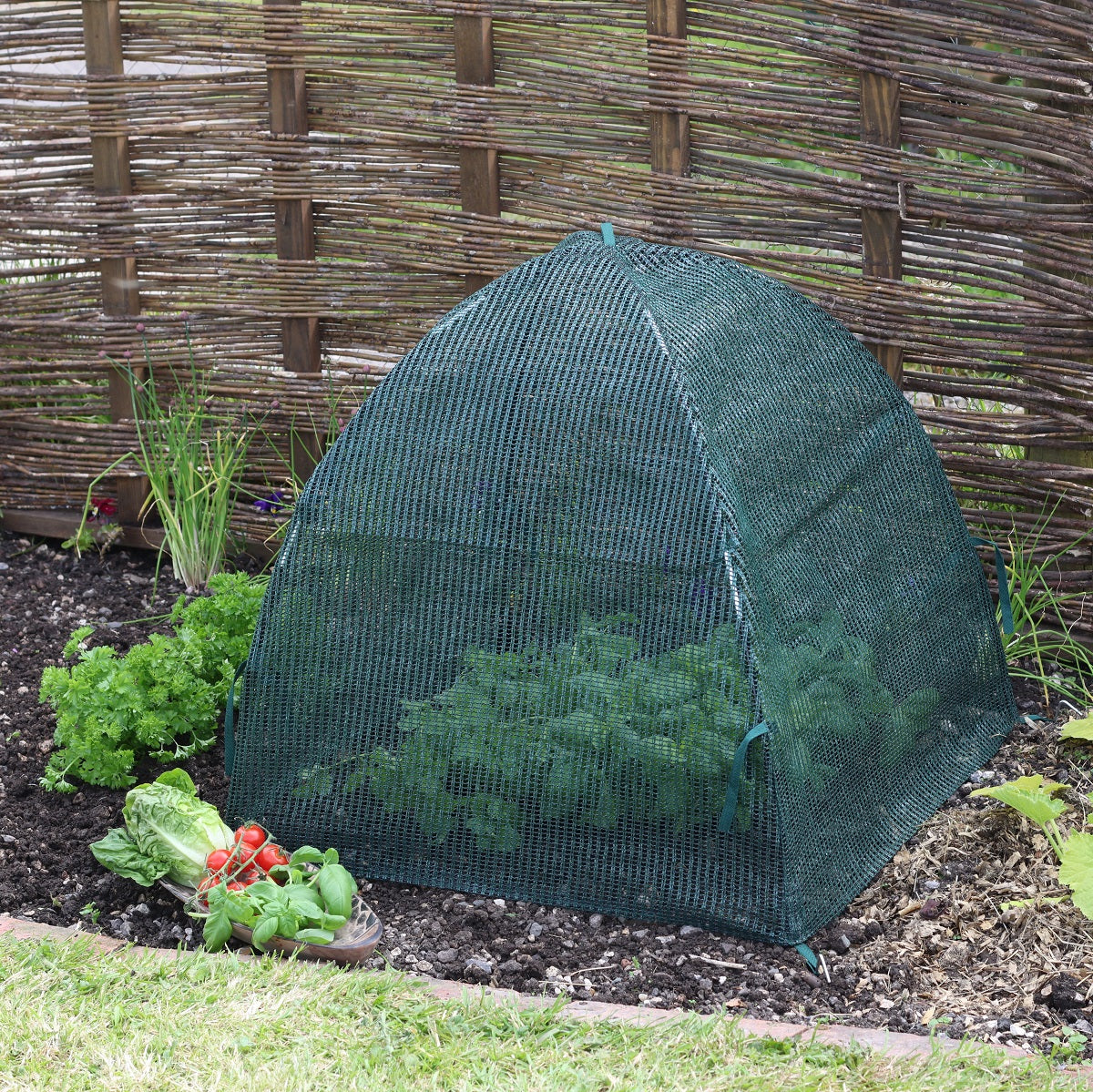 Standard Easy Net Dome Plant Protection Cloche, UV-stabilized mesh, 22 inches, garden use.