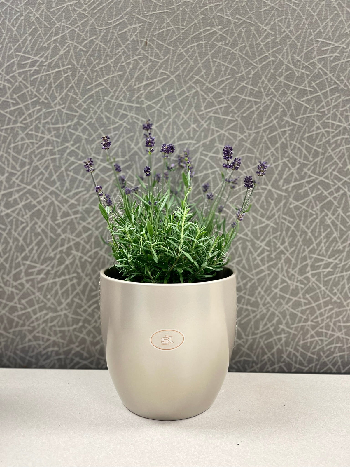 6.3&quot; Dia gray beige metallic ceramic plant pot with lavender, indoor use, no drainage holes.