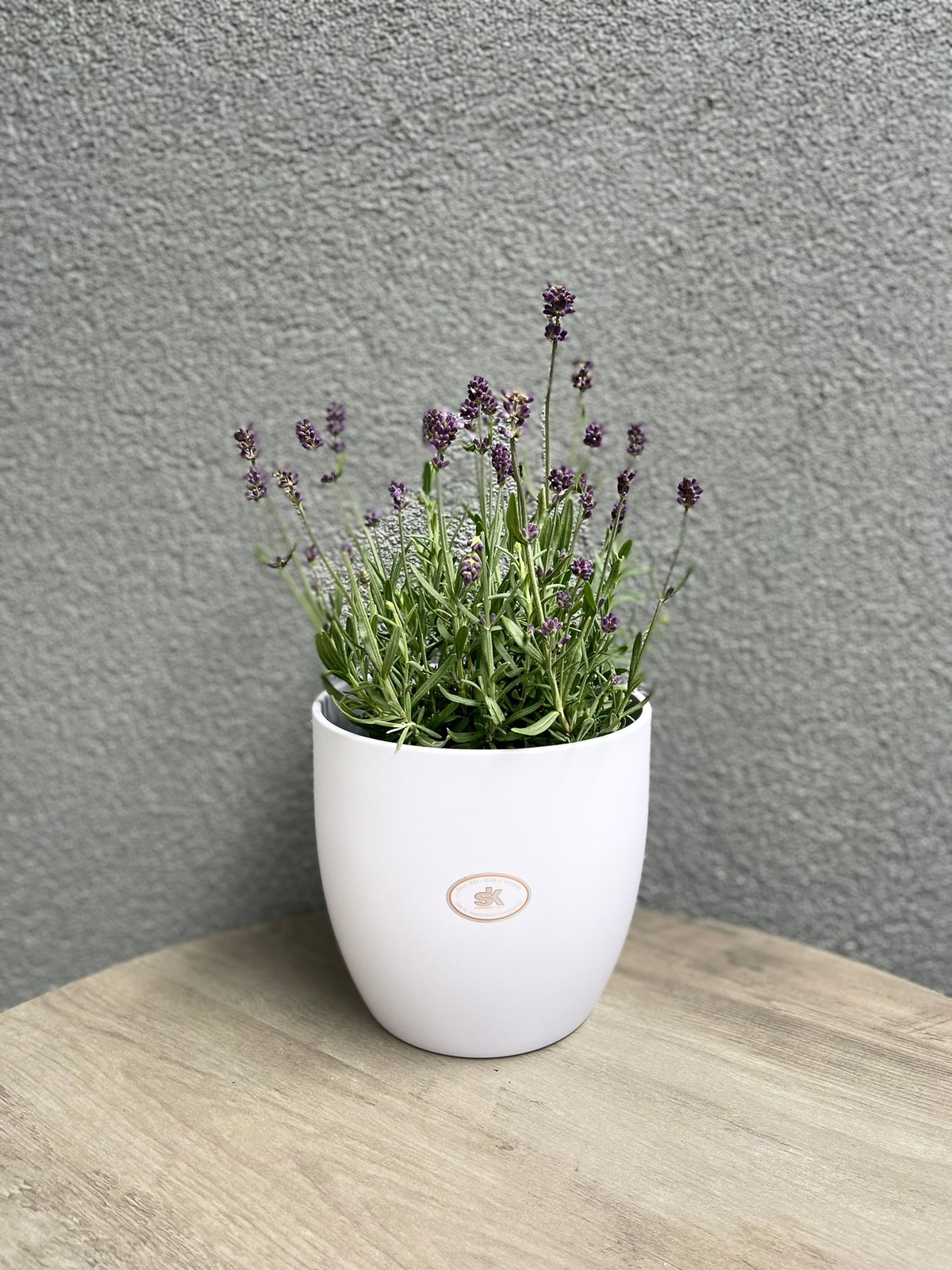 6.3&quot; dia matte lavender ceramic indoor plant pot with lavender flowers.