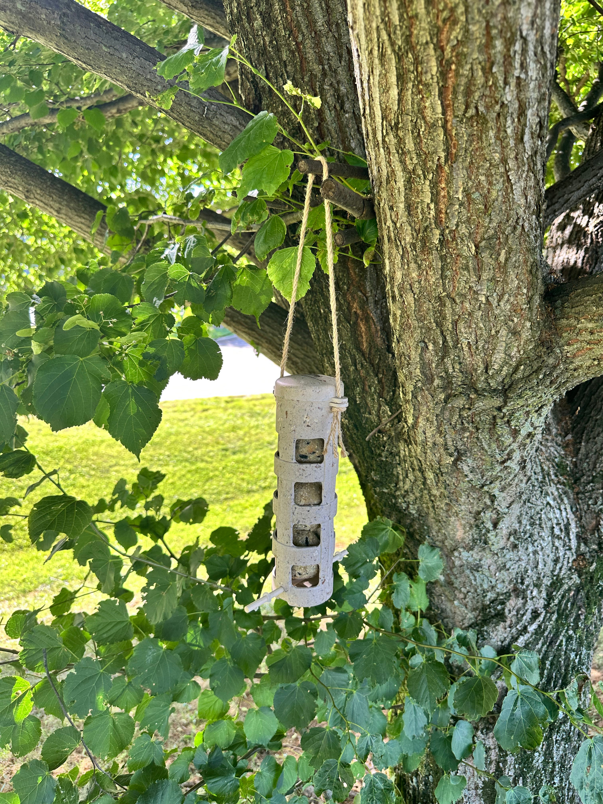 Suet Ball Feeder made from Coffee Husks hanging on a tree.