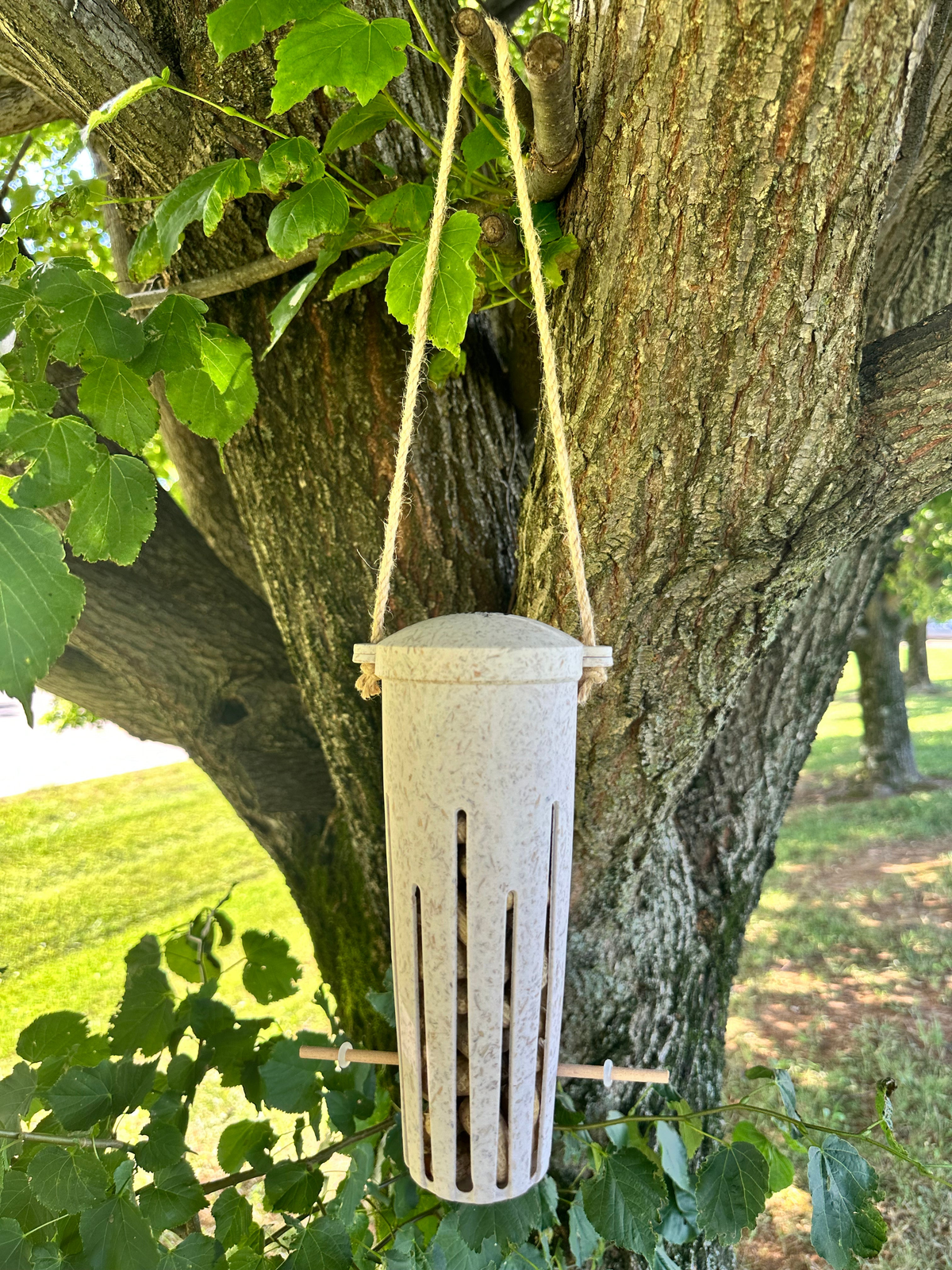 Earthy sustainable peanut bird feeder made from chaff, hanging on a tree.