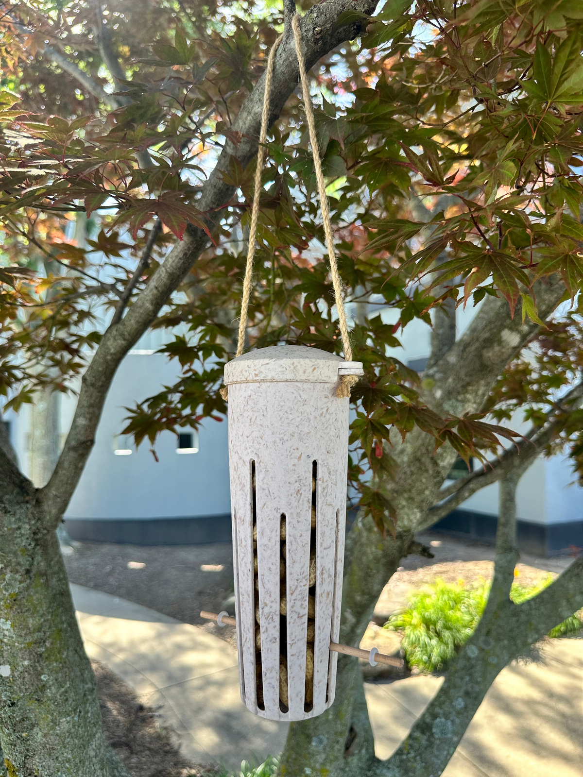 Sustainable Peanut Bird Feeder made from chaff, hanging outdoors.