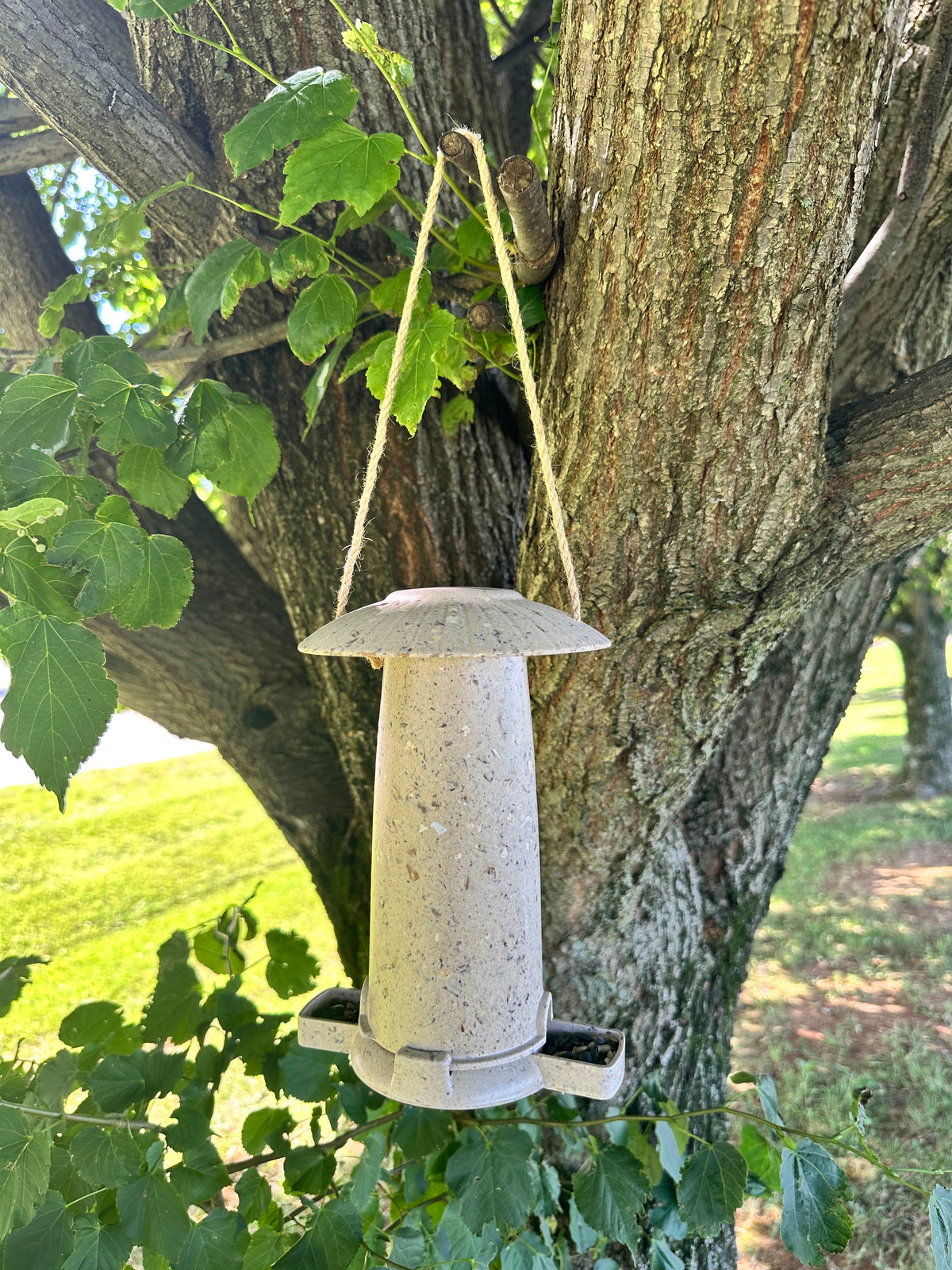 Sustainable seed feeder made from coffee husks hanging on a tree, suitable for outdoor use.