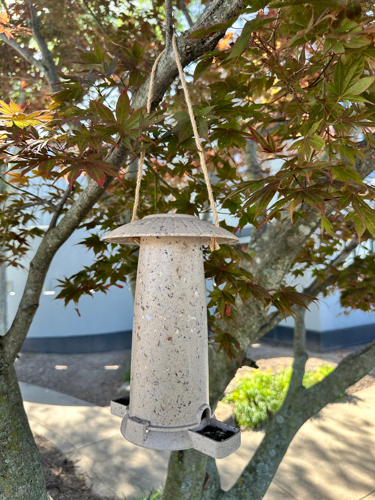 Earthy sustainable seed feeder made from coffee husks, outdoor use.