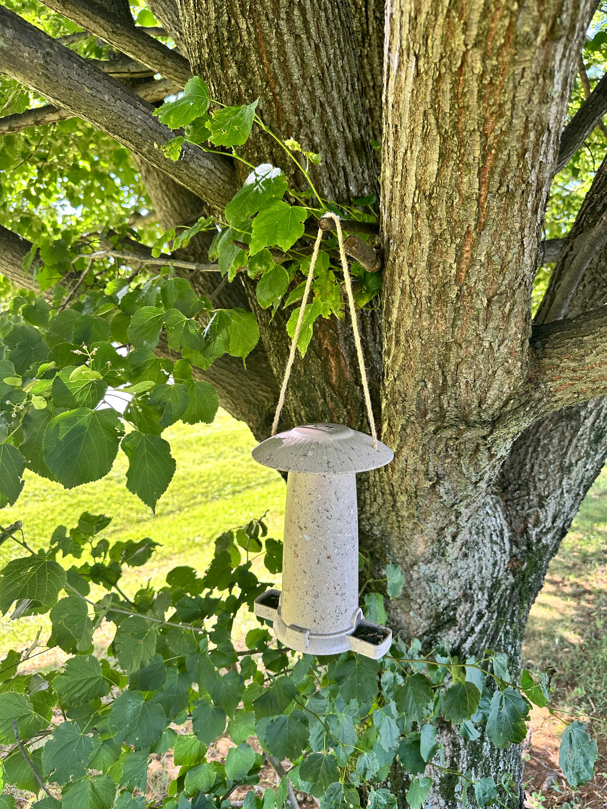 Eco-friendly seed feeder made from coffee husks, hanging on a tree.