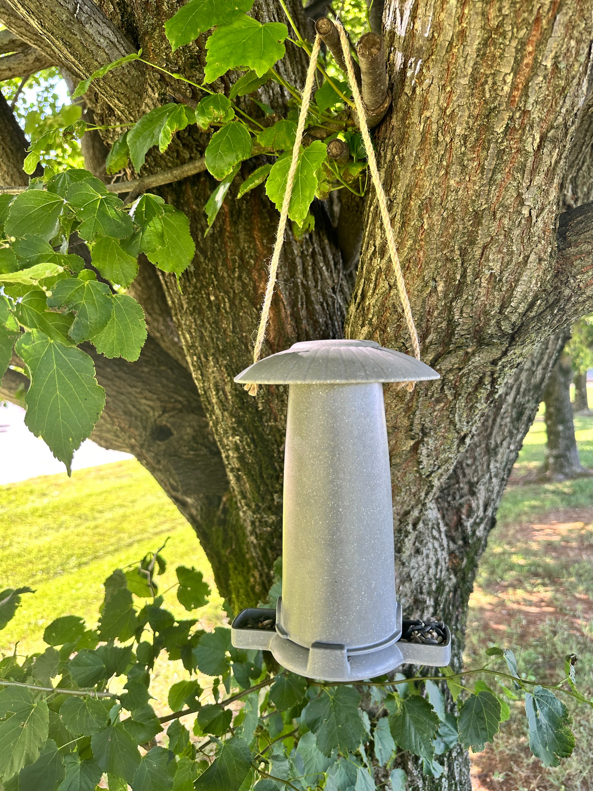 Straw seed feeder hanging on a tree, eco-friendly, suitable for indoor and outdoor use.