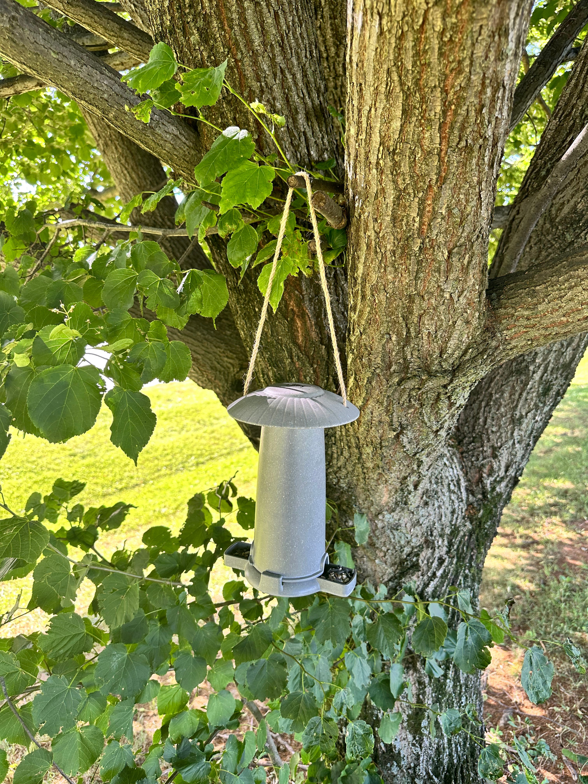 Sustainable straw seed feeder hanging on a tree outdoors.